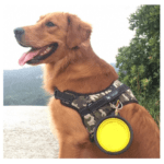 Bol Silicon Pliabil pentru Apa Animale de Companie Caini si Pisici, Tip Castron Portabil, 0.45L, Ropet, Albastru - imagine 5