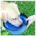 Bol Silicon Pliabil pentru Apa Animale de Companie Caini si Pisici, Tip Castron Portabil, 0.45L, Ropet, Albastru - imagine 4