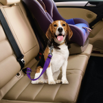 Lesa centura de siguranta auto pentru caini, pisici sau alte animale de companie, 40-70cm/2.5cm, Rosu, Ropet - imagine 5