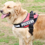 Ham pentru caini Police K9, marimea L, 60-80 cm, Roz - imagine 2