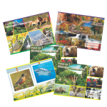 Set 5 Caiete Biologie-Geografie, Coperta Policromie, B5, 24 File, Ropet