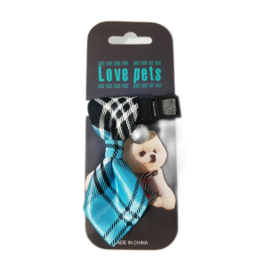 C 6