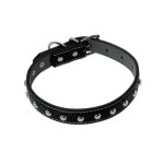 Zgarda caini cu strasuri, Latime 15mm, Negru, Ropet